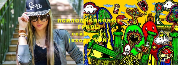 a pvp Зерноград