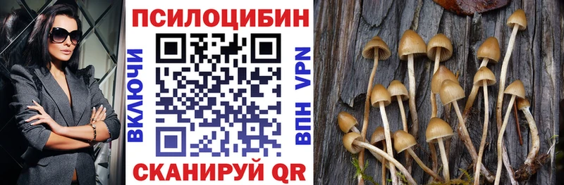 Галлюциногенные грибы мицелий  Купить  Ершов 